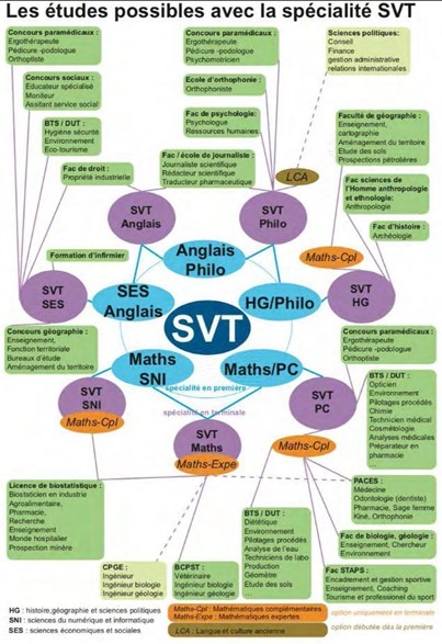 Commerce après un BAC Spécialité SVT